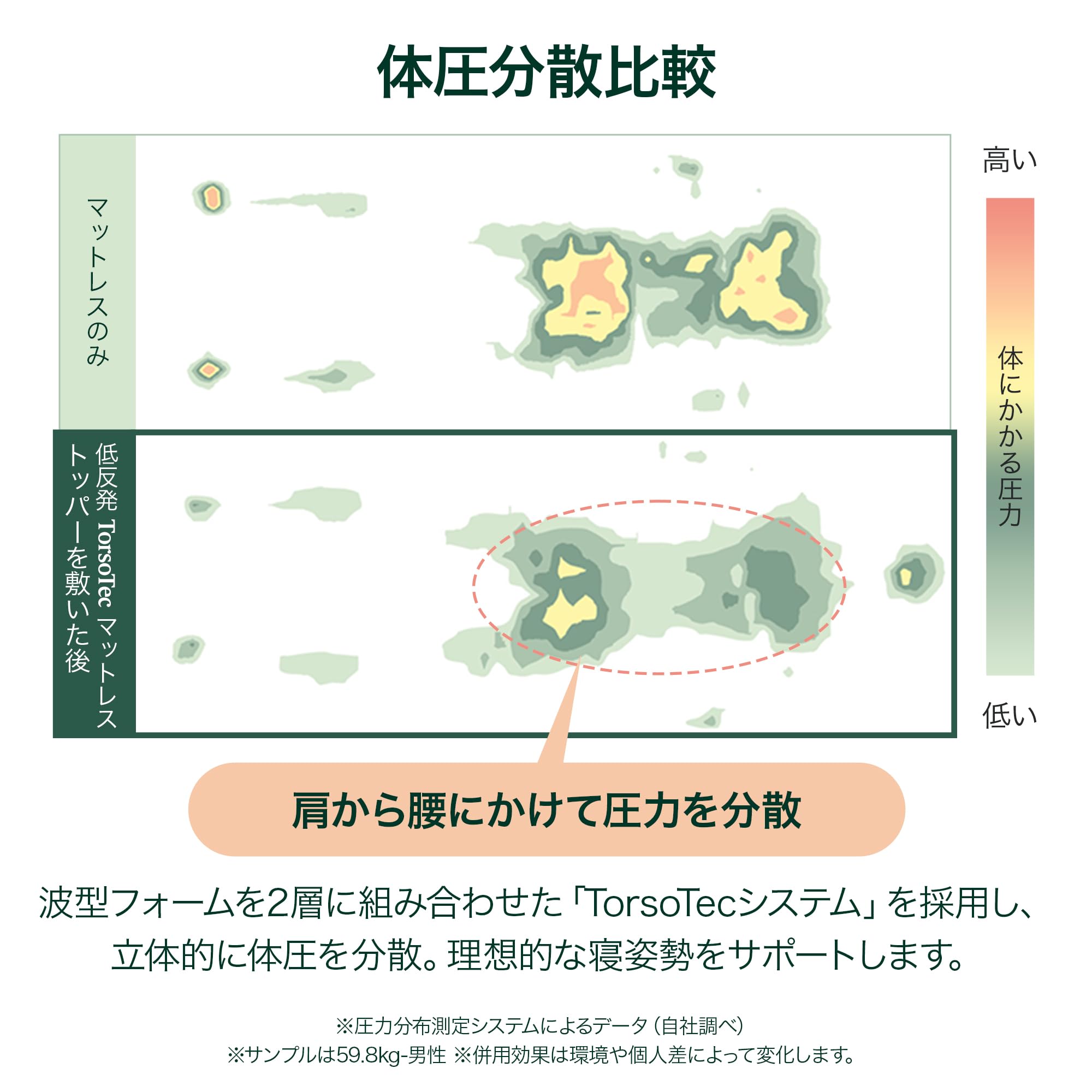 Amazon｜ZINUS 低反発 マットレス セミダブル 厚さ 5cm TorsoTec 緑茶